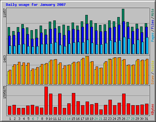 Daily usage for January 2007