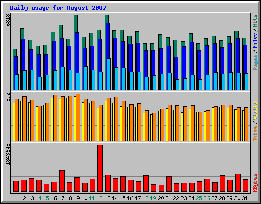 Daily usage for August 2007