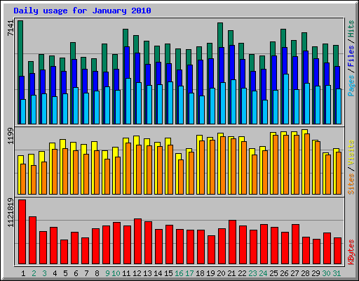 Daily usage for January 2010