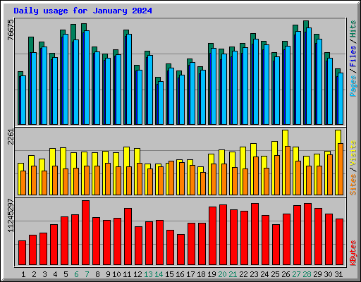 Daily usage for January 2024