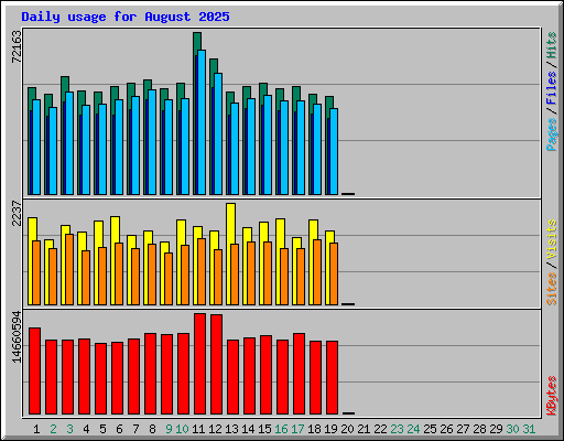 Daily usage for August 2025