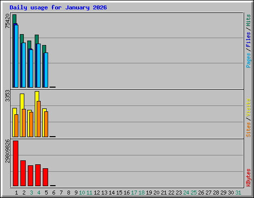 Daily usage for January 2026