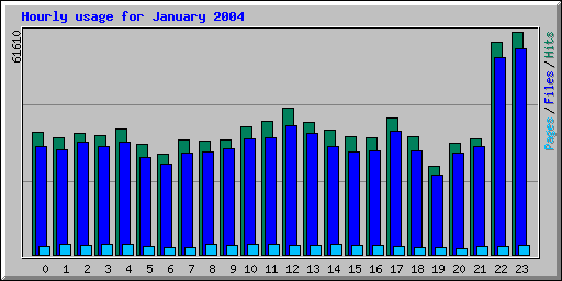 Hourly usage for January 2004