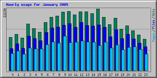 Hourly usage for January 2005
