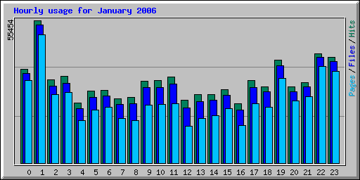 Hourly usage for January 2006