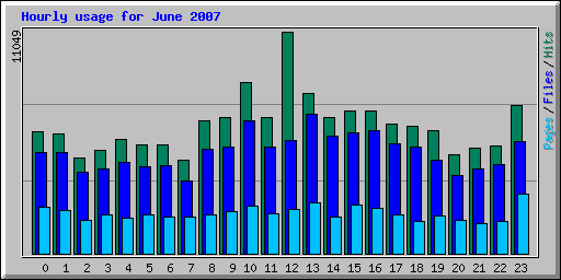 Hourly usage for June 2007
