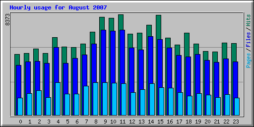 Hourly usage for August 2007