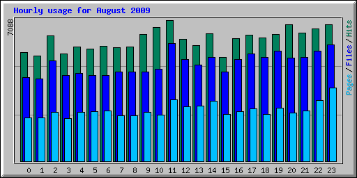 Hourly usage for August 2009
