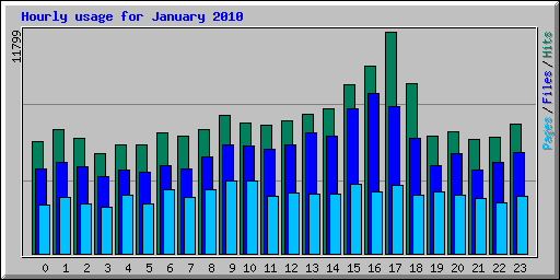 Hourly usage for January 2010
