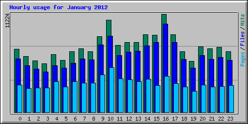 Hourly usage for January 2012