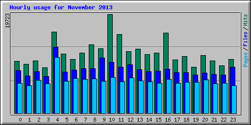 Hourly usage for November 2013