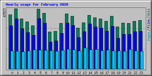 Hourly usage for February 2020