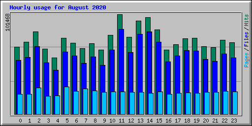 Hourly usage for August 2020