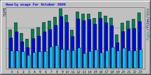 Hourly usage for October 2020