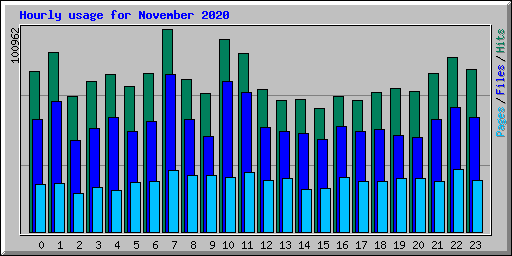 Hourly usage for November 2020