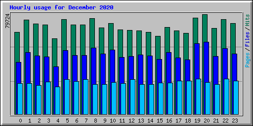 Hourly usage for December 2020