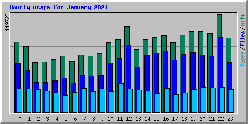 Hourly usage for January 2021