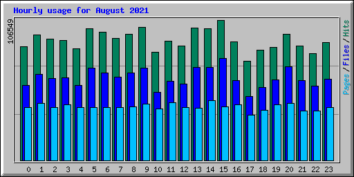 Hourly usage for August 2021