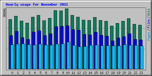 Hourly usage for November 2021