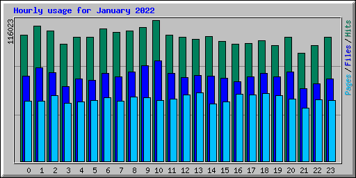 Hourly usage for January 2022