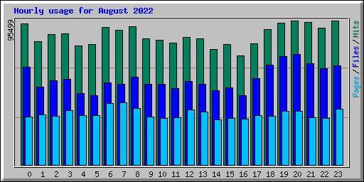 Hourly usage for August 2022