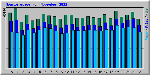 Hourly usage for November 2022