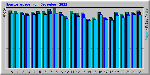 Hourly usage for December 2022