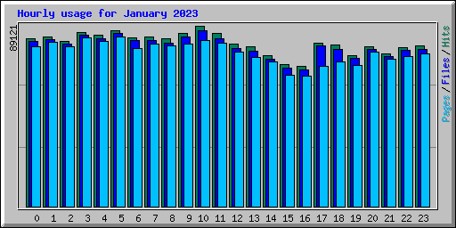 Hourly usage for January 2023