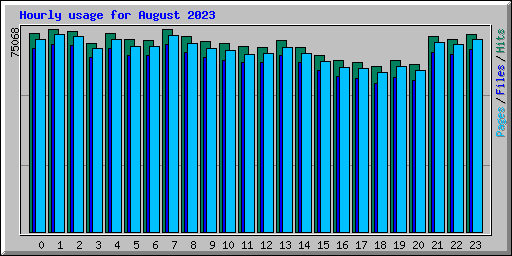 Hourly usage for August 2023