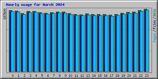 Hourly usage for March 2024