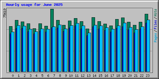 Hourly usage for June 2025