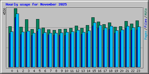 Hourly usage for November 2025