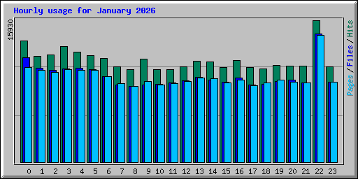 Hourly usage for January 2026