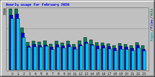 Hourly usage for February 2026