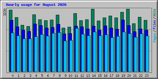 Hourly usage for August 2026
